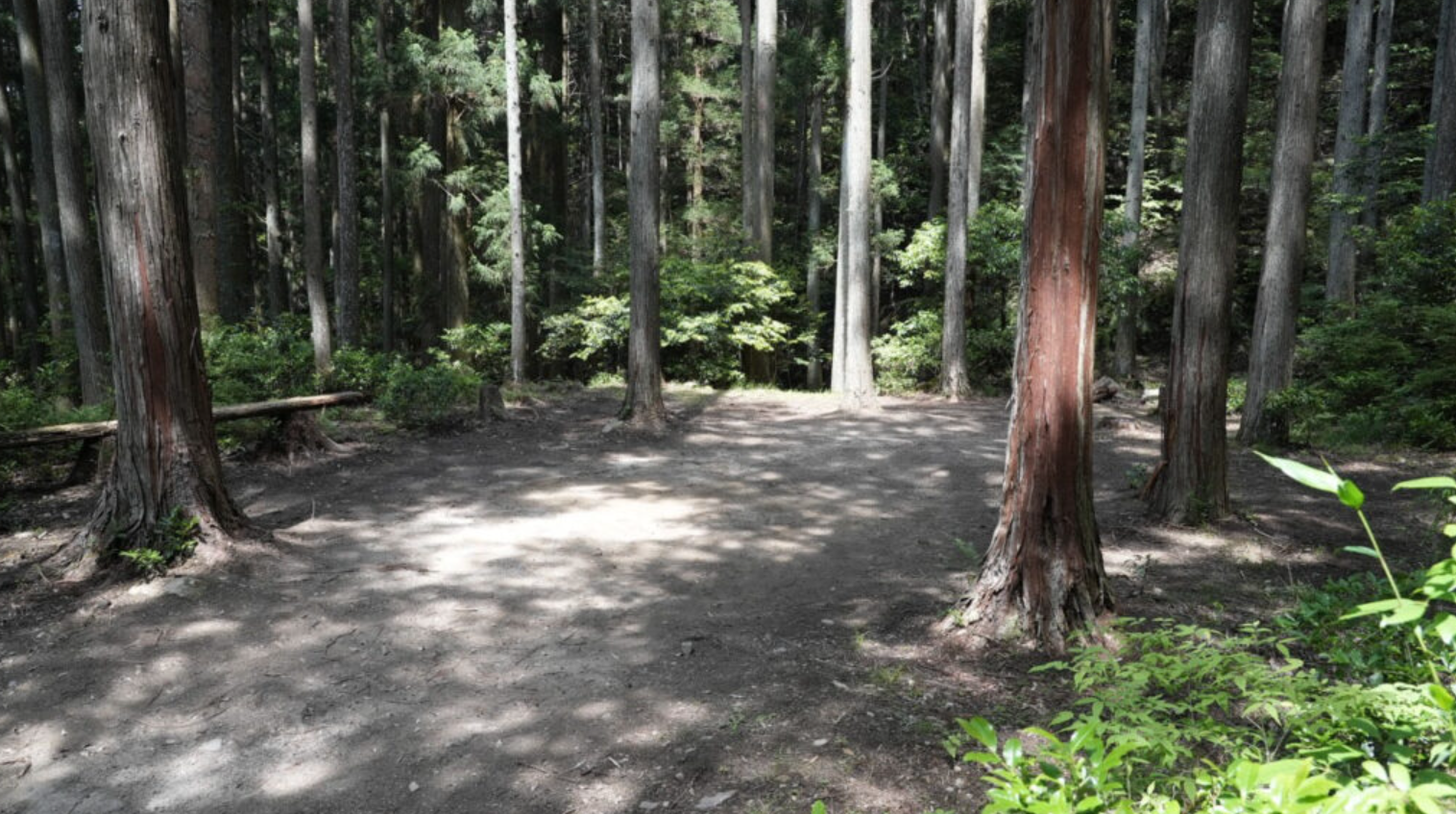 NNF-Nukata Nature Field（額田ネイチャーフィールド）キャンプ場体験記【愛知県岡崎市に新しくできたキャンプ場レポート】